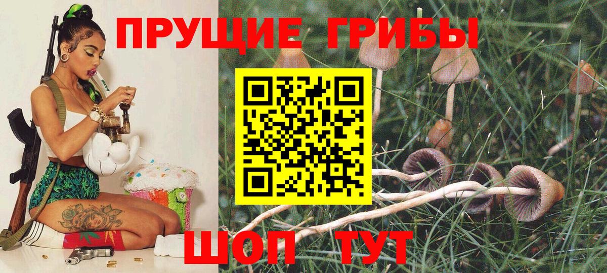 Галлюциногенные грибы Psilocybe  Вход с VPN  Ипатово 